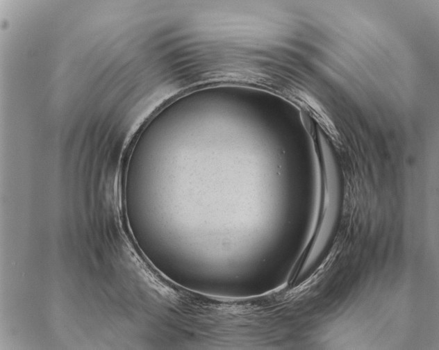 X0000086890796200704231127