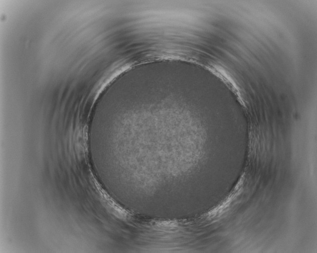 X0000086890798200704231127