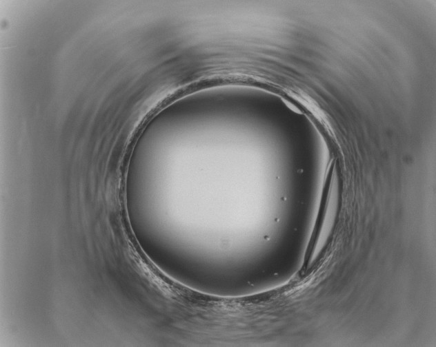 X0000086890799200704231127