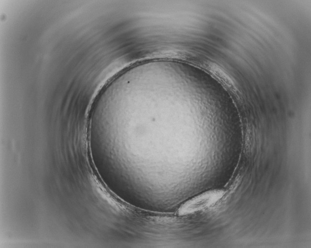 X0000086890800200704231127