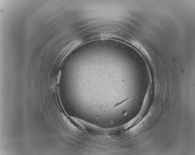 X0000086890801200704231127