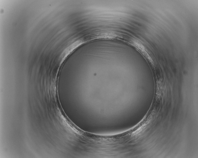 X0000086890802200704231127