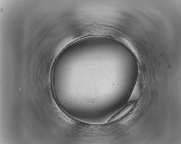 X0000086890803200704231126