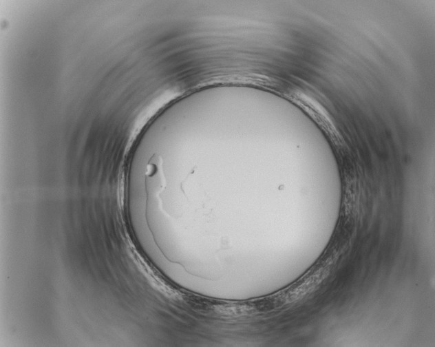 X0000086890804200704231126