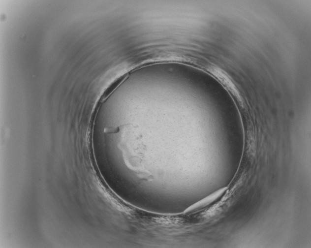 X0000086890805200704231126