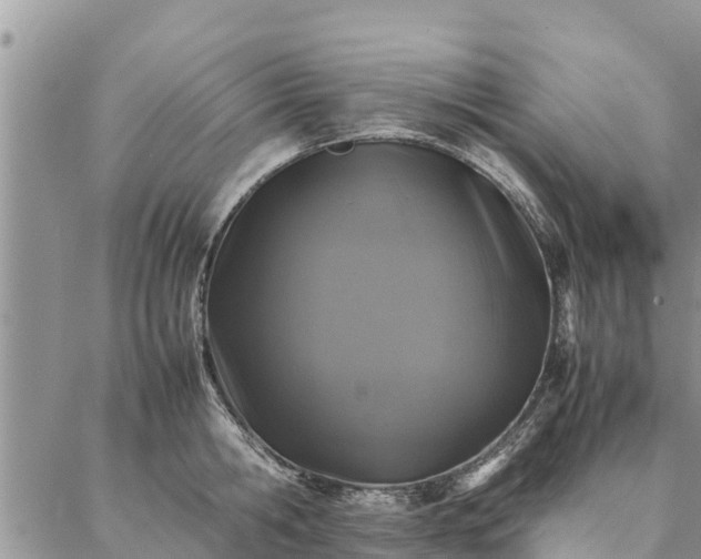 X0000086890806200704231126