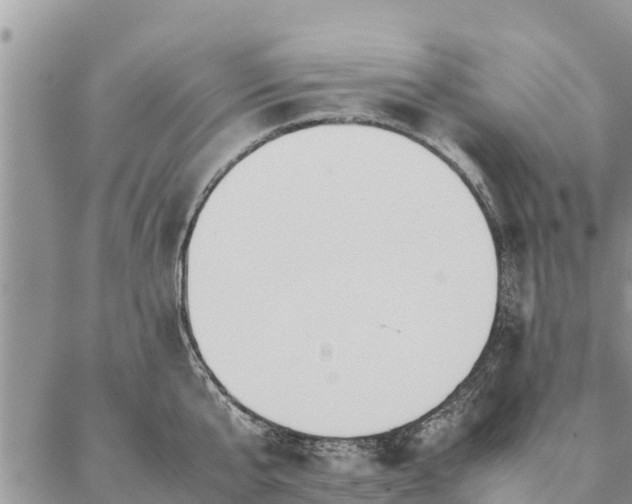 X0000086890807200704231126