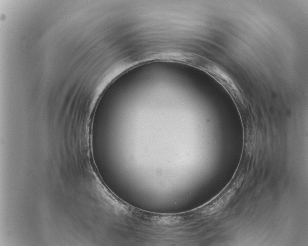 X0000086890808200704231126