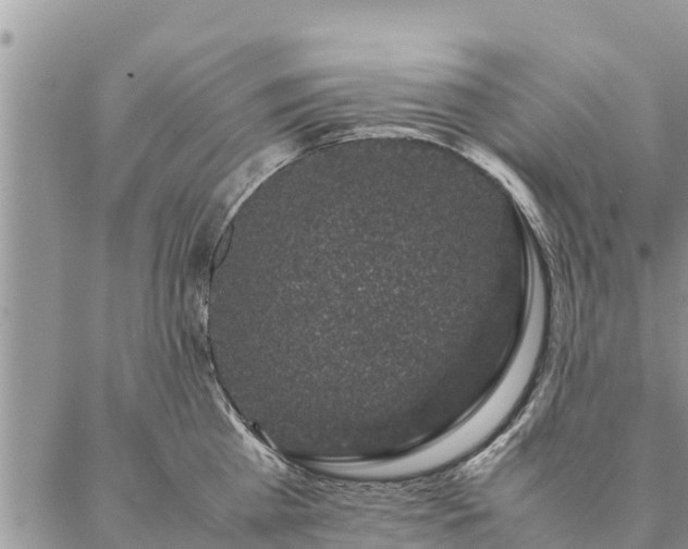 X0000086890809200704231126