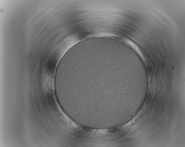 X0000086890810200704231126