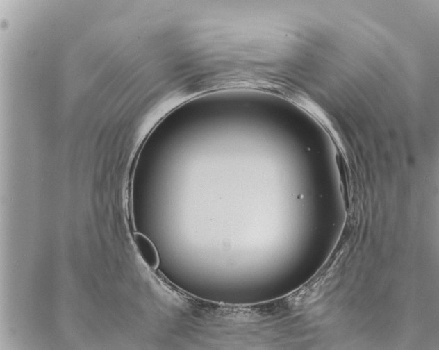 X0000086890811200704231126