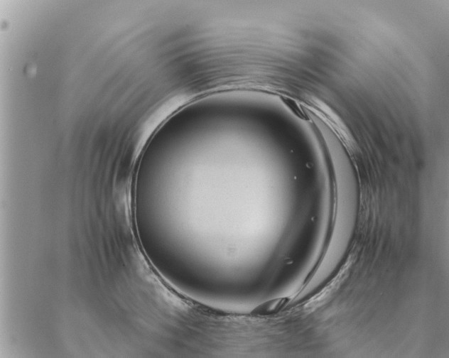 X0000086890812200704231126