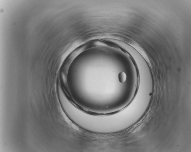 X0000086890813200704231126