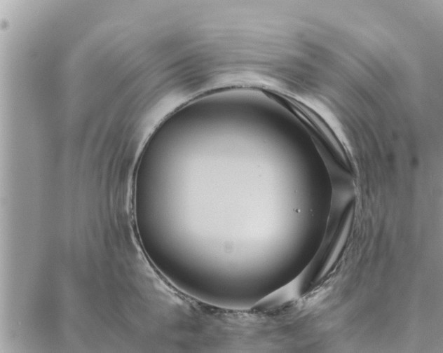 X0000086890815200704231126