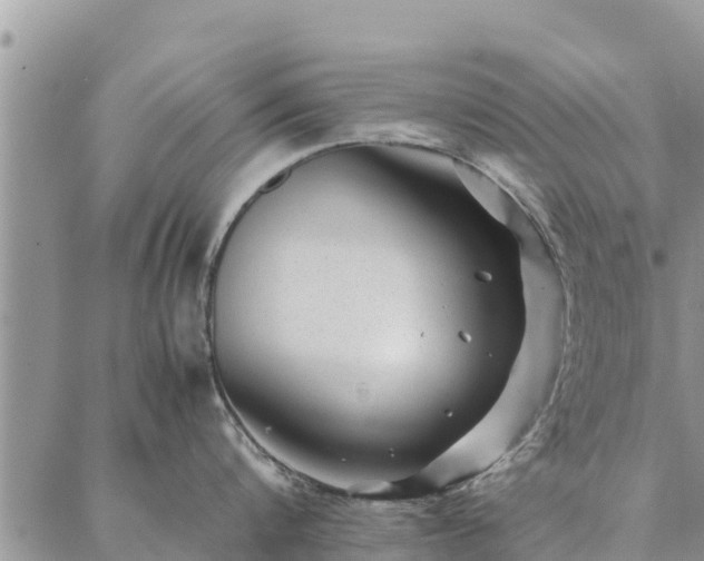 X0000086890816200704231126