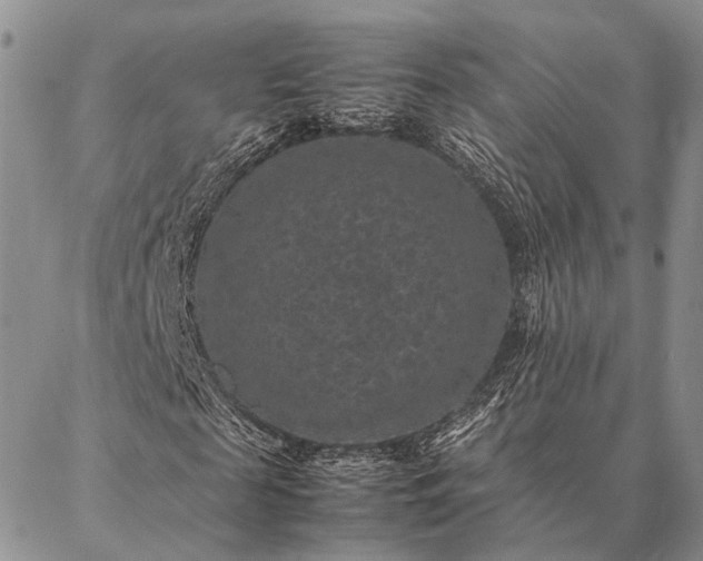 X0000086890817200704231126