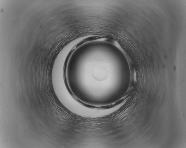 X0000086890818200704231126