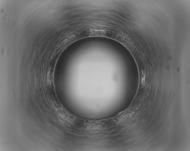 X0000086890819200704231126