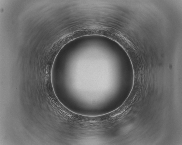 X0000086890821200704231126