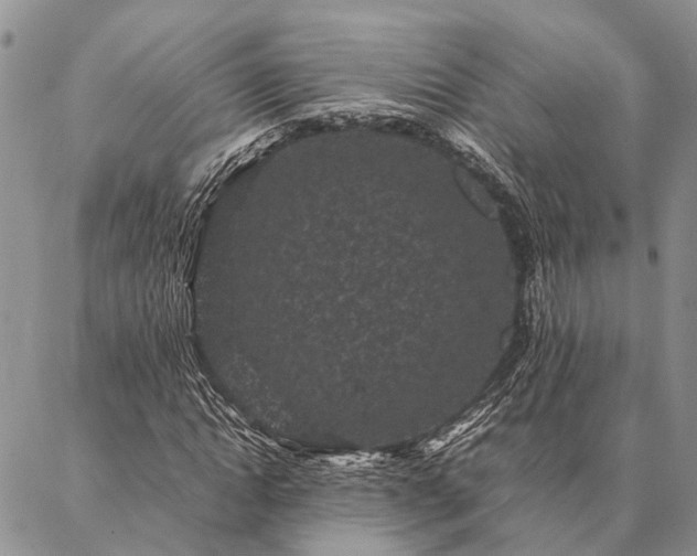 X0000086890822200704231126