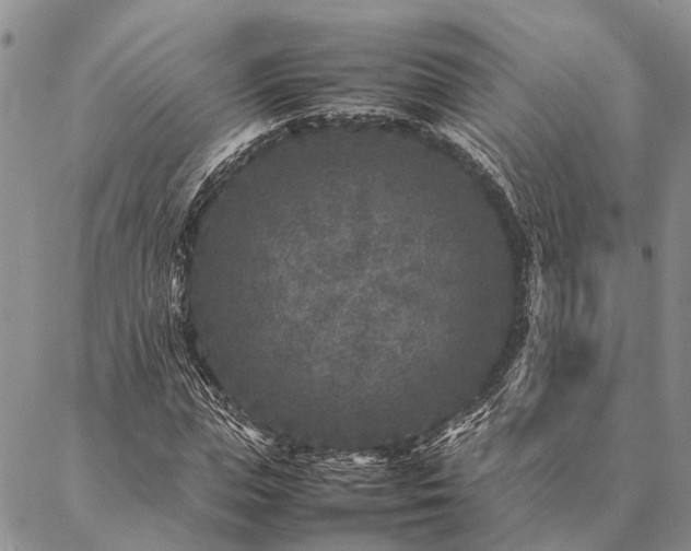 X0000086890823200704231126