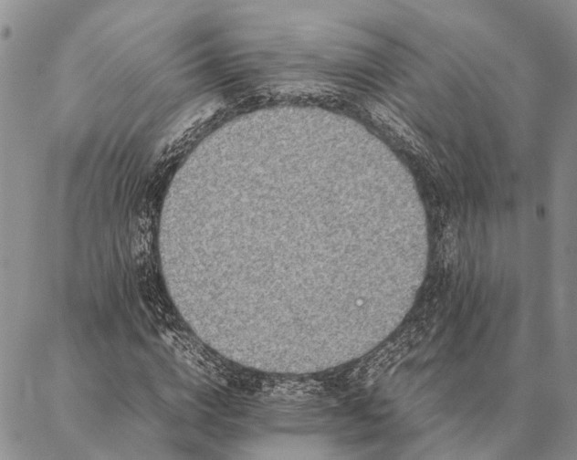 X0000086890824200704231126