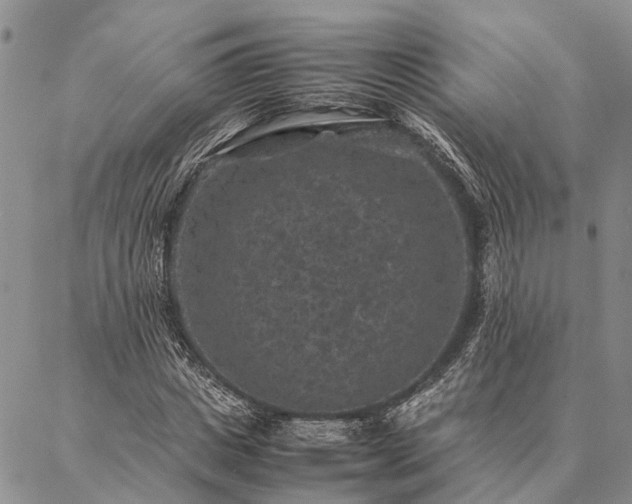 X0000086890825200704231126