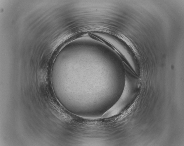 X0000086890826200704231126