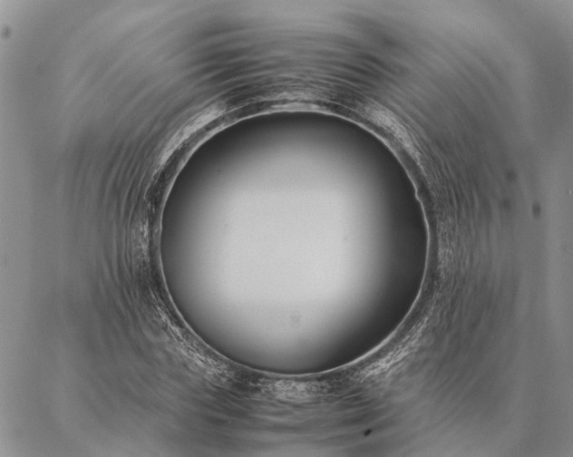 X0000086890827200704231126