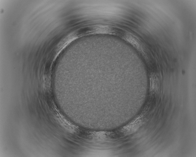 X0000086890828200704231126