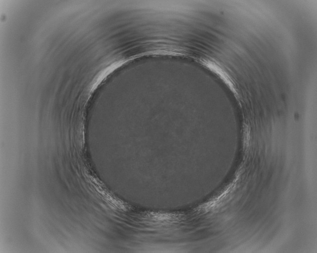 X0000086890829200704231126