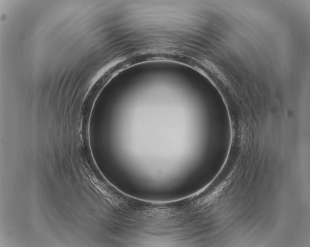 X0000086890830200704231126