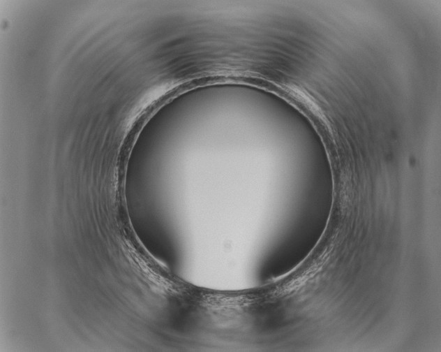 X0000086890831200704231126