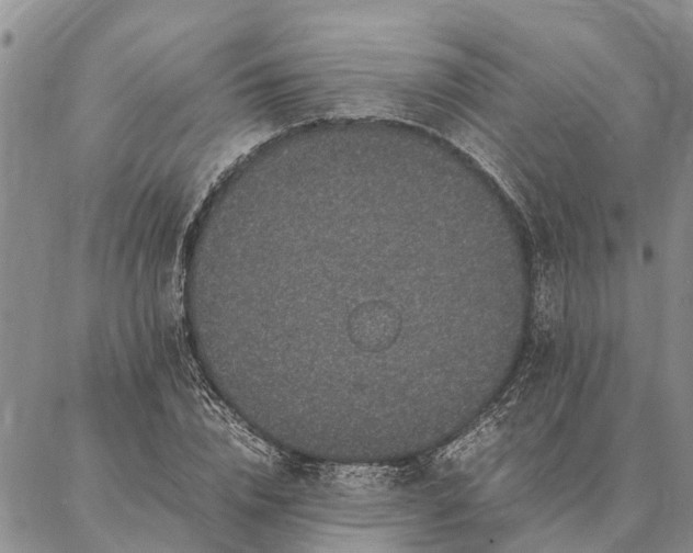 X0000086890832200704231126