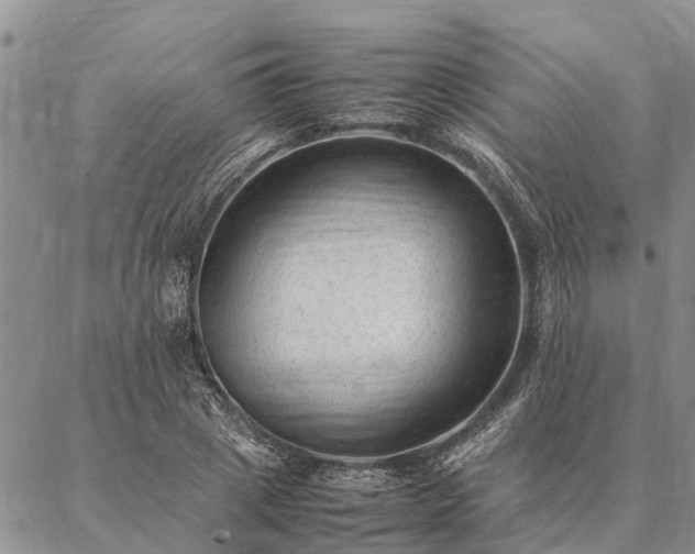 X0000086890833200704231126