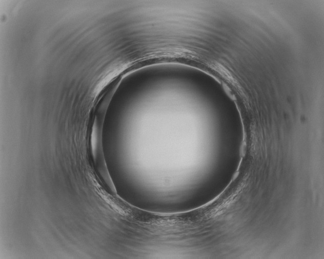 X0000086890834200704231126