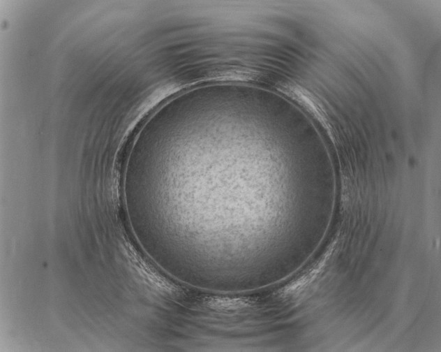 X0000086890835200704231126