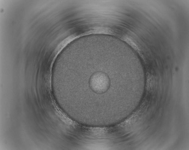 X0000086890836200704231126