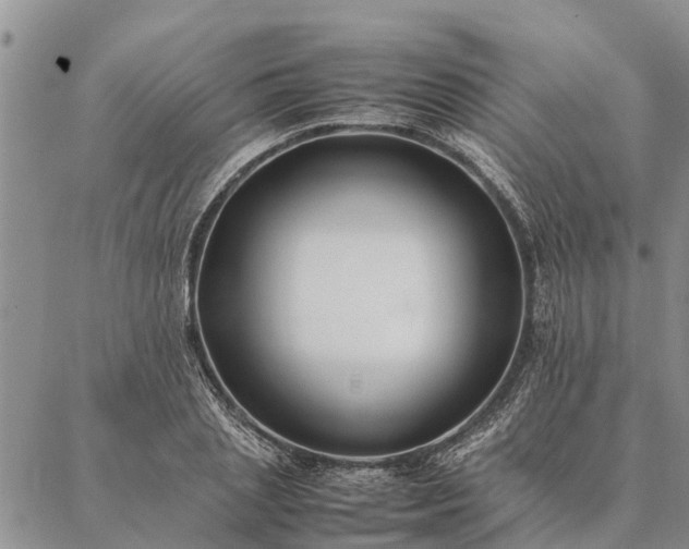 X0000086890837200704231126