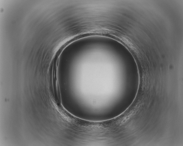 X0000086890838200704231126