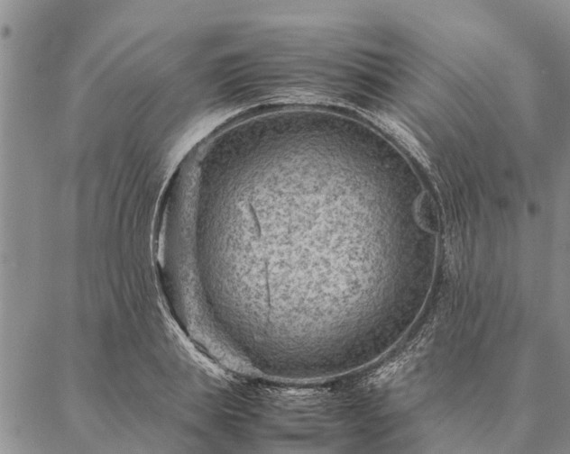 X0000086890839200704231126