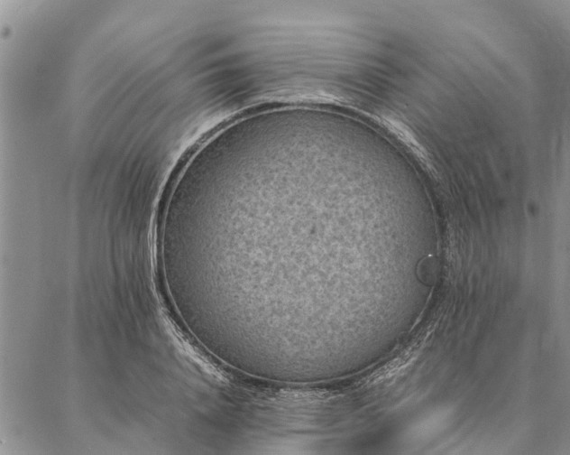 X0000086890840200704231126