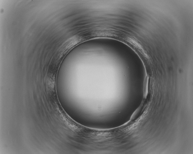 X0000086890841200704231126