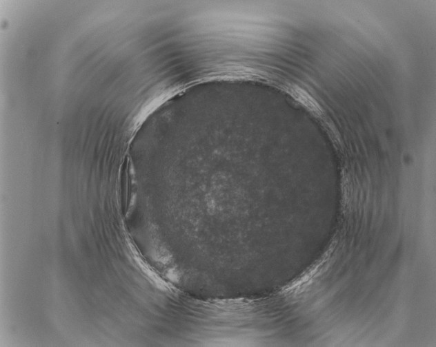 X0000086890842200704231126