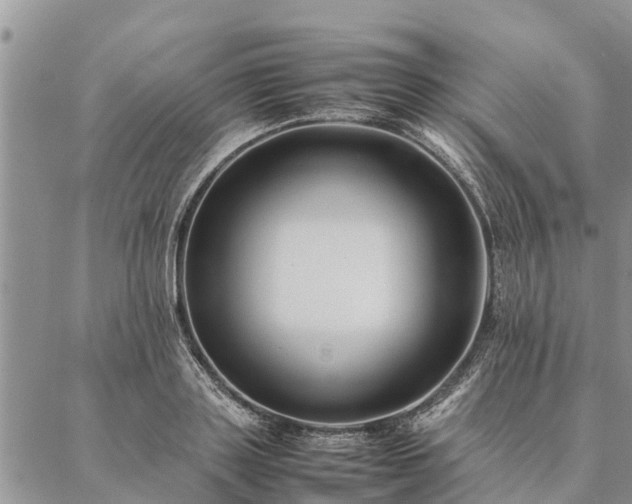 X0000086890843200704231126