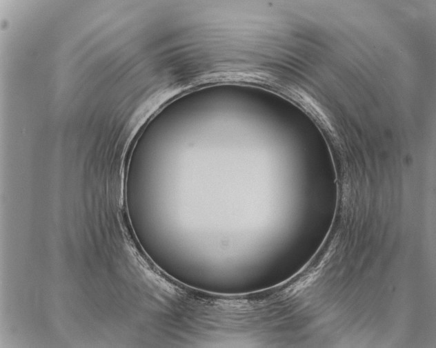 X0000086890844200704231126