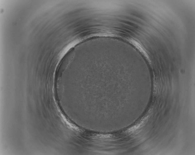 X0000086890845200704231126