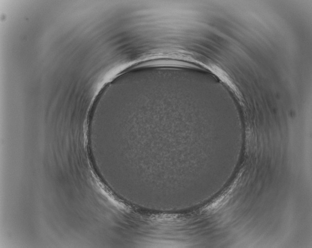 X0000086890846200704231126