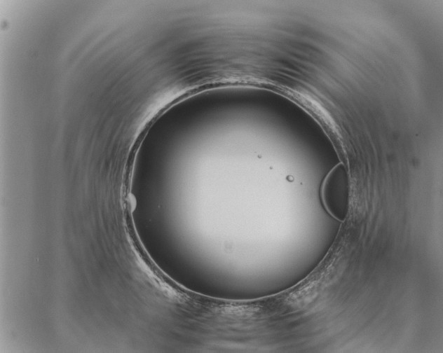 X0000086890847200704231126