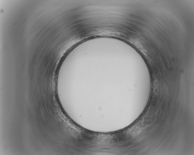 X0000086890848200704231126